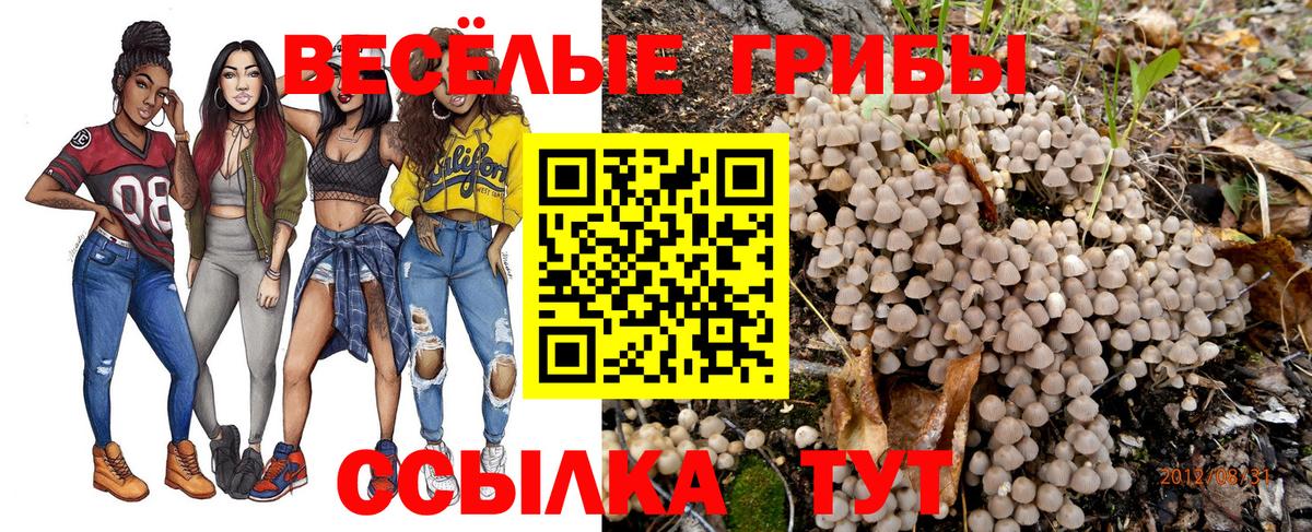 Усть-Илимск  Галлюциногенные грибы прущие грибы  наркотики  Вход с VPN 